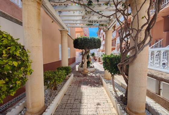 Resale - Penthouse - Torrevieja - Costa Blanca