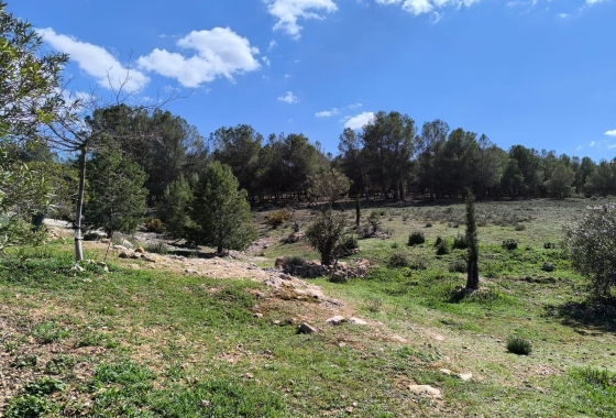 Resale - Finca - Villena - Inland