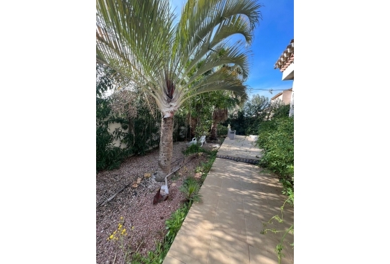 Wiederverkauf - Villa - Orihuela Costa - Playa Flamenca