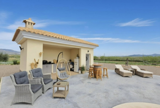 Перепродажа - Вилла - Pinoso - Inland