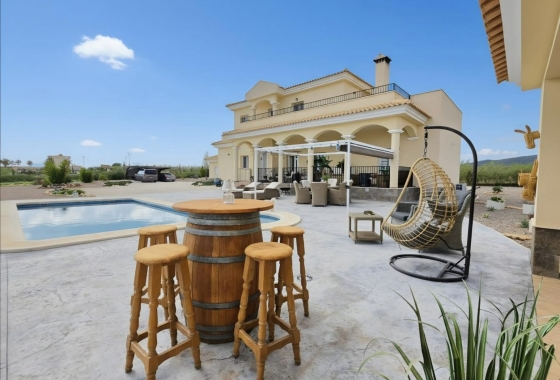 Перепродажа - Вилла - Pinoso - Inland