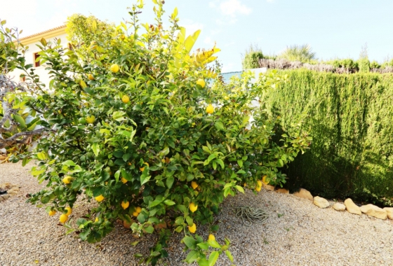 Återförsäljning - Villa - La Nucía - Costa Blanca