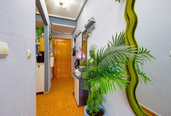 Återförsäljning - Lägenhet / lägenhet - Torrevieja - Centro