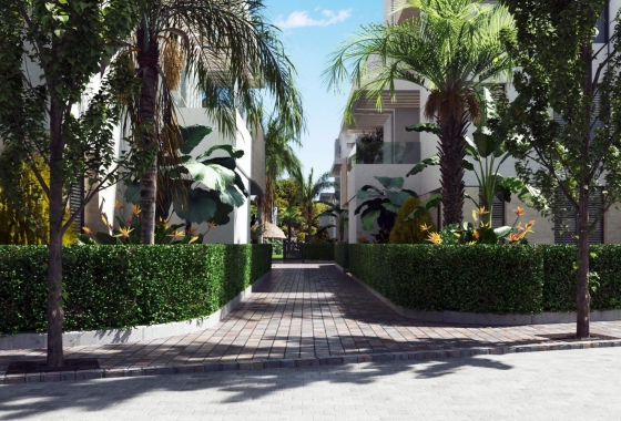 Obra nueva - Bungalow - Santa Rosalia - Santa Rosalía