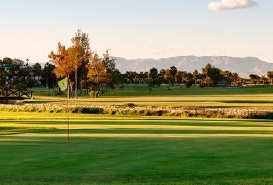 Wiederverkauf - Villa - Ciudad Quesada - Costa Blanca