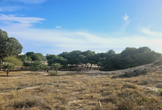 Resale - Apartment / flat - Guardamar del Segura - Guardamar Del Segura