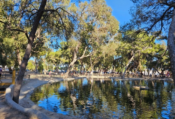 Resale - Apartment / flat - Guardamar del Segura - Guardamar Del Segura