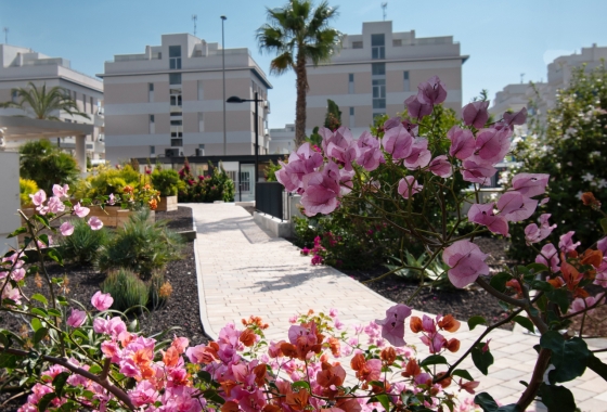 Wiederverkauf - Wohnung - Orihuela Costa - Los Dolses