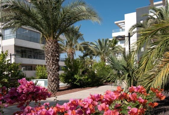 Wiederverkauf - Wohnung - Orihuela Costa - Los Dolses