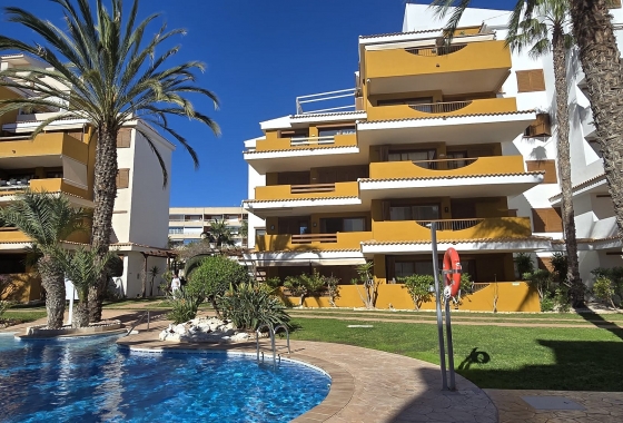 Återförsäljning - Lägenhet / lägenhet - Torrevieja - Costa Blanca