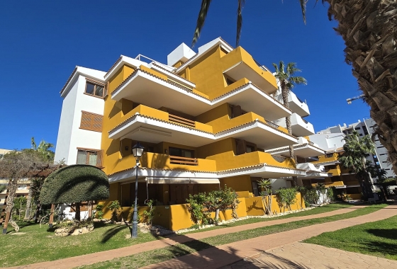 Återförsäljning - Lägenhet / lägenhet - Torrevieja - Costa Blanca