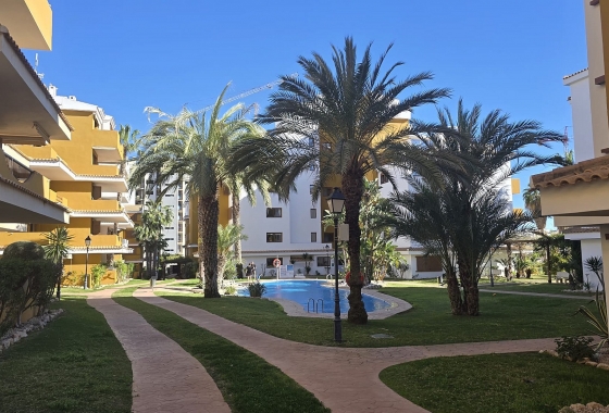 Återförsäljning - Lägenhet / lägenhet - Torrevieja - Costa Blanca