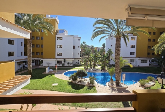 Återförsäljning - Lägenhet / lägenhet - Torrevieja - Costa Blanca
