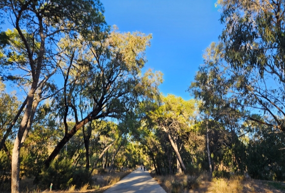 Wiederverkauf - Wohnung - Guardamar del Segura - Los Secanos