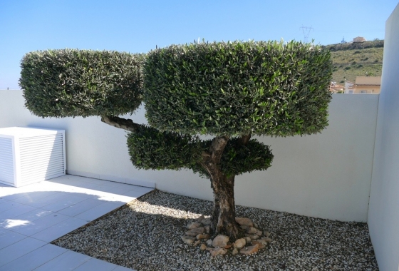 Herverkoop - Villa - Benijofar - Costa Blanca