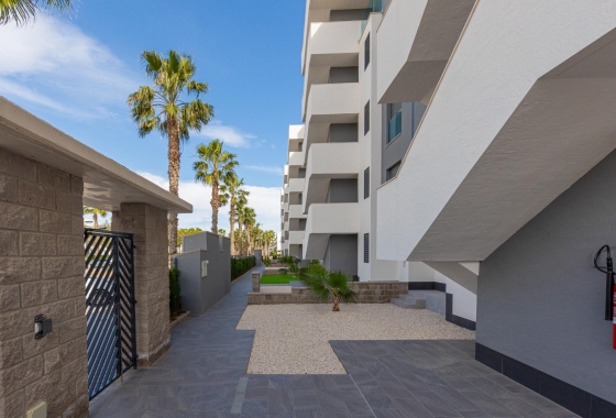 Reventa - Apartamento / piso - Guardamar del Segura - El Raso