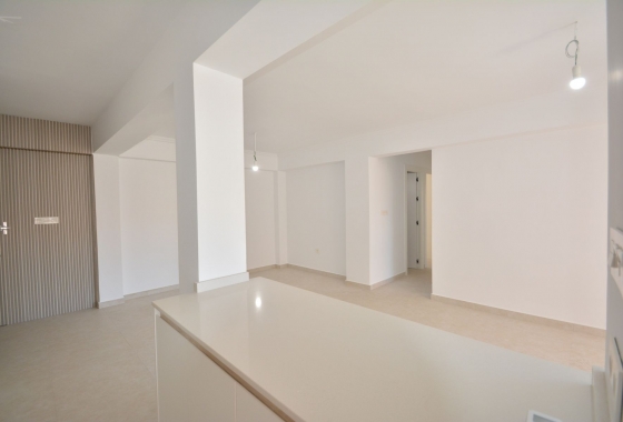 Återförsäljning - Lägenhet / lägenhet - Torrevieja - Costa Blanca