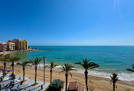 Wiederverkauf - Wohnung - Torrevieja - Estacion De Autobuses