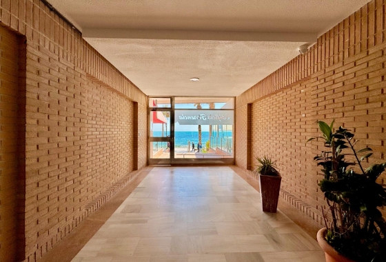 Wiederverkauf - Wohnung - Torrevieja - Estacion De Autobuses