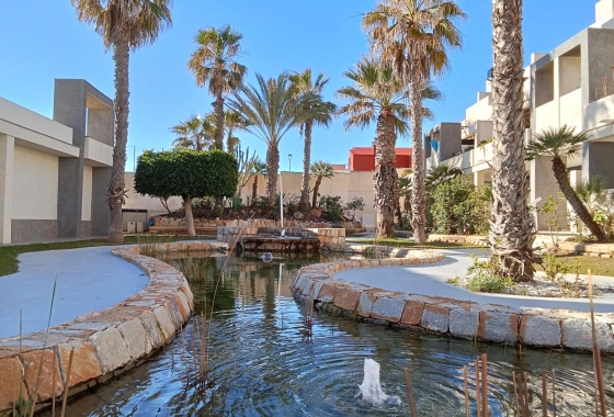 Resale - Penthouse - Torrevieja - Playa De La Mata