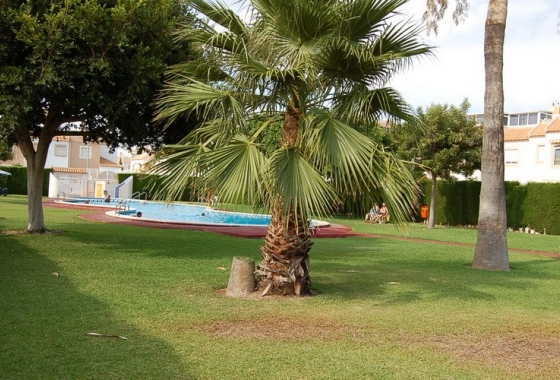 Resale - Townhouse - Torrevieja - Costa Blanca