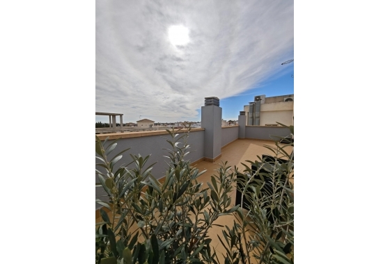 Återförsäljning - Lägenhet / lägenhet - San Miguel de Salinas - Pueblo 9