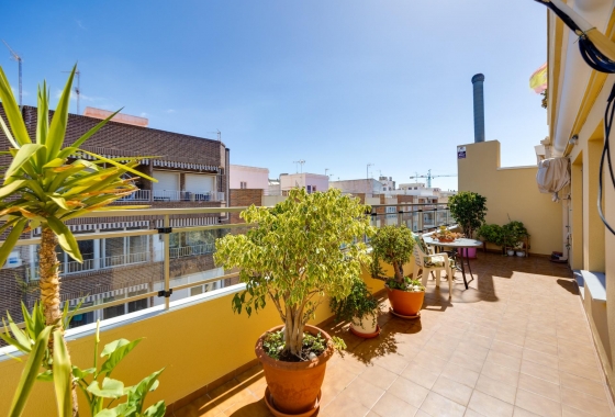 Herverkoop - Penthouse - Torrevieja - Centro
