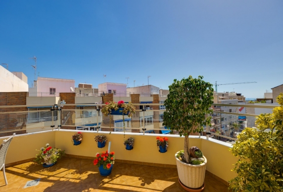 Herverkoop - Penthouse - Torrevieja - Centro
