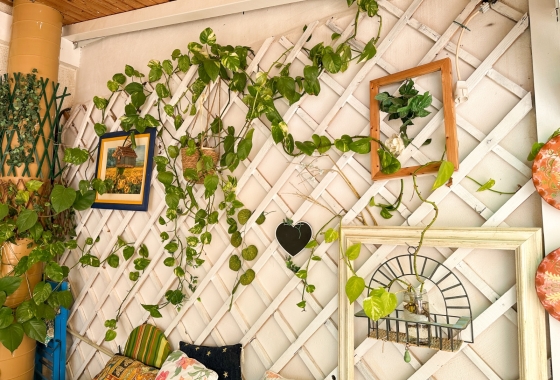 Herverkoop - Appartement / flat - Torrevieja - Costa Blanca