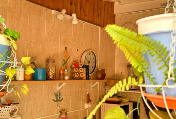 Herverkoop - Appartement / flat - Torrevieja - Costa Blanca