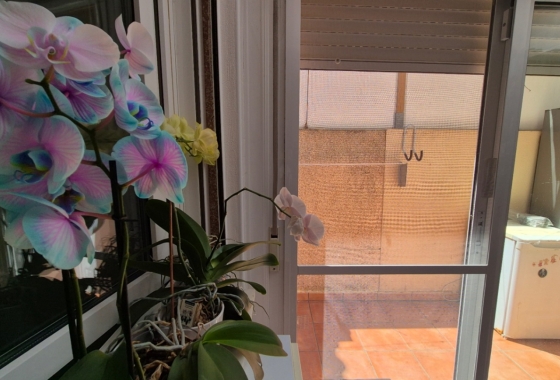 Återförsäljning - Radhus - Torrevieja - Costa Blanca