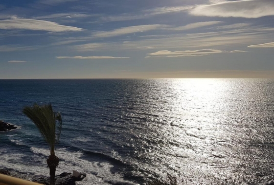 Herverkoop - Appartement / flat - Torrevieja - Las Piscinas Naturales