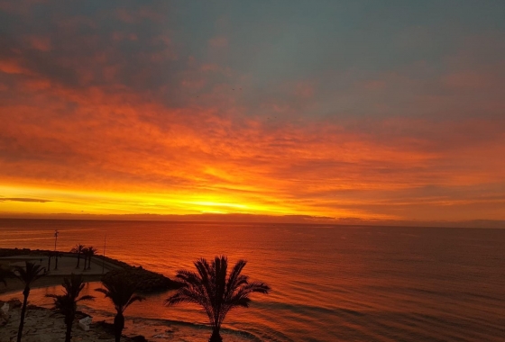 Herverkoop - Appartement / flat - Torrevieja - Las Piscinas Naturales