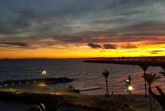 Herverkoop - Appartement / flat - Torrevieja - Las Piscinas Naturales