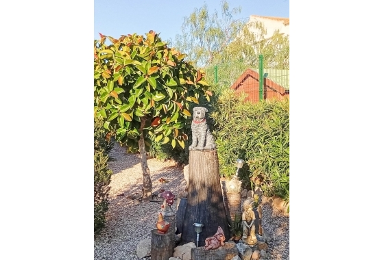 Herverkoop - Villa - Torrevieja - La Siesta