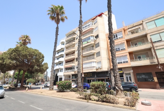 Herverkoop - Appartement / flat - Torrevieja - Centro