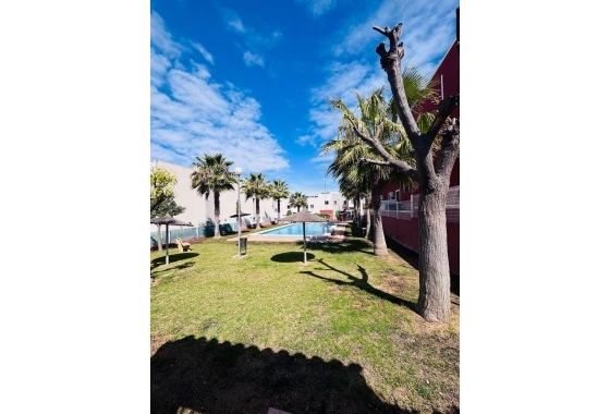 Перепродажа - Квартира - Torrevieja - Costa Blanca