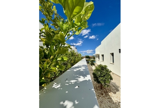 New Build - Chalet - Benijofar