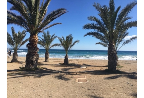 Resale - Townhouse - Torrevieja - Los Frutales