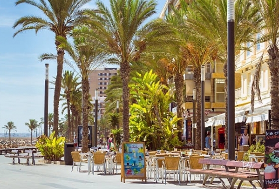 Resale - Townhouse - Torrevieja - Los Frutales