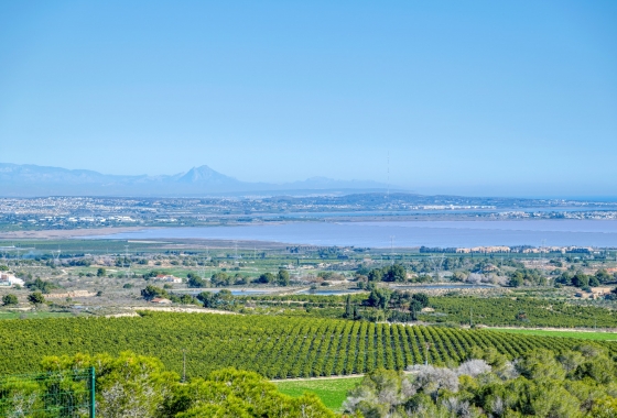 Перепродажа - Вилла - San Miguel de Salinas - Inland