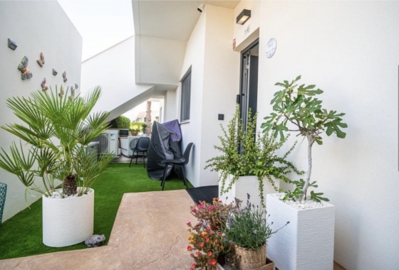 Reventa - Apartamento / piso - Pilar de la Horadada - Costa Blanca