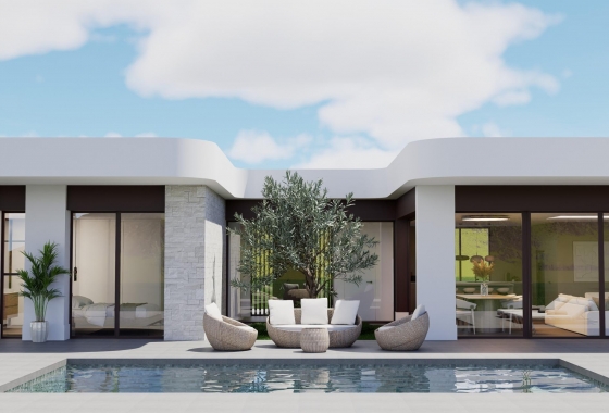 Nouvelle construction - Villa - Pinoso - Lel