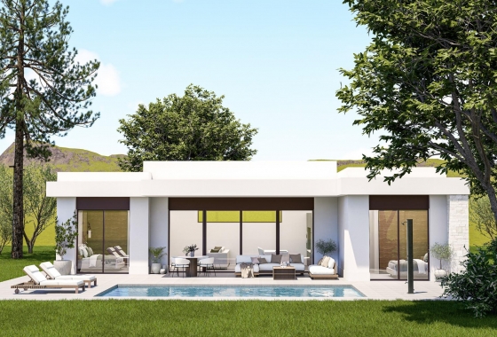 Nouvelle construction - Villa - Pinoso - Lel