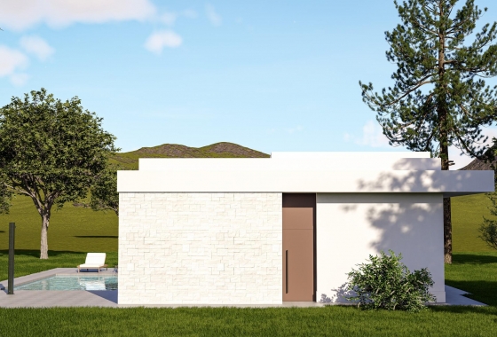 Nouvelle construction - Villa - Pinoso - Lel