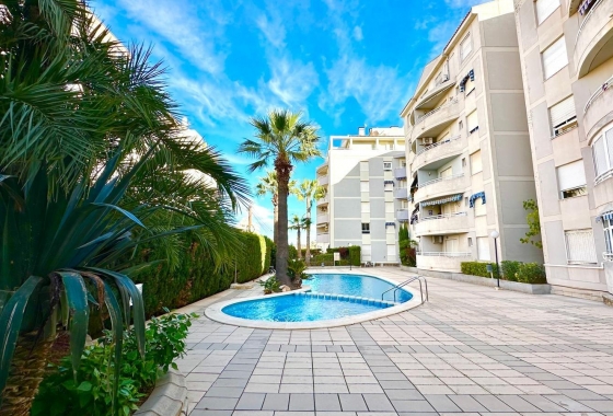 Resale - Apartment / flat - Torrevieja - Nueva Torrevieja - Aguas Nuevas