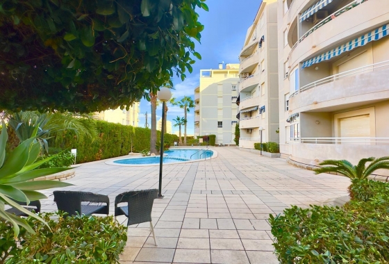 Resale - Apartment / flat - Torrevieja - Nueva Torrevieja - Aguas Nuevas