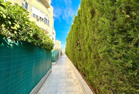 Resale - Apartment / flat - Torrevieja - Nueva Torrevieja - Aguas Nuevas