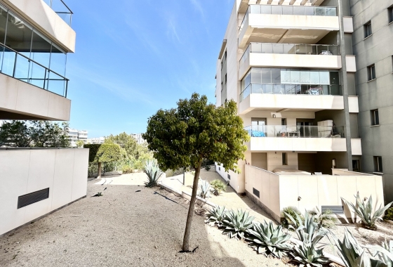 Wiederverkauf - Wohnung - Los Dolses - Inland