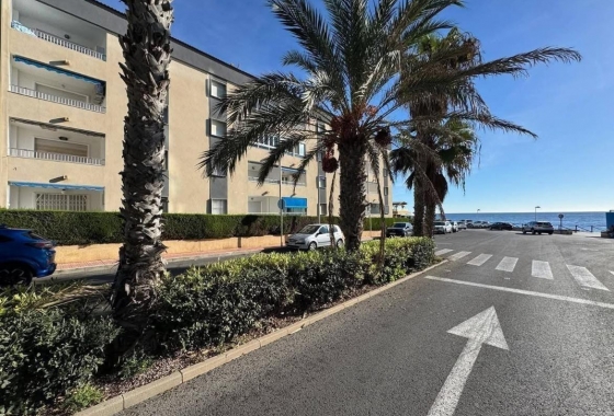 Перепродажа - Квартира - Torrevieja - Punta Prima